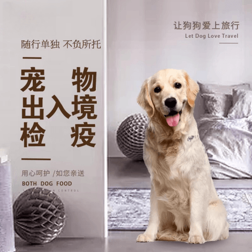舟山市宠物托运到哥伦比亚猫狗宠物入境规定和