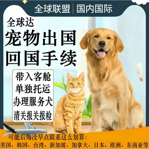 舟山市宠物托运到柬埔寨宠物入境规定和要求