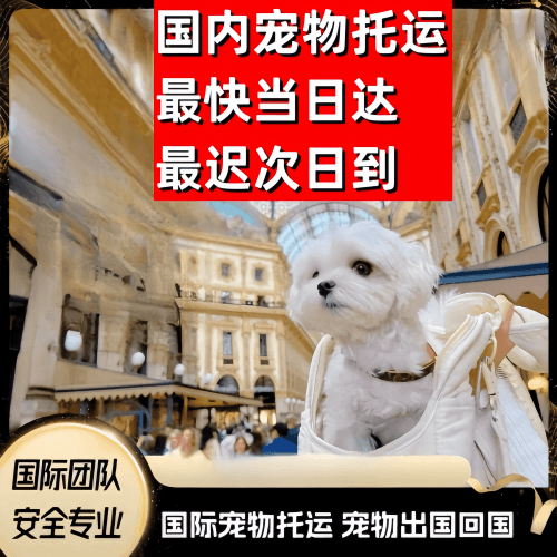 舟山市到澳大利亚（澳洲）宠物入境规定和要求
