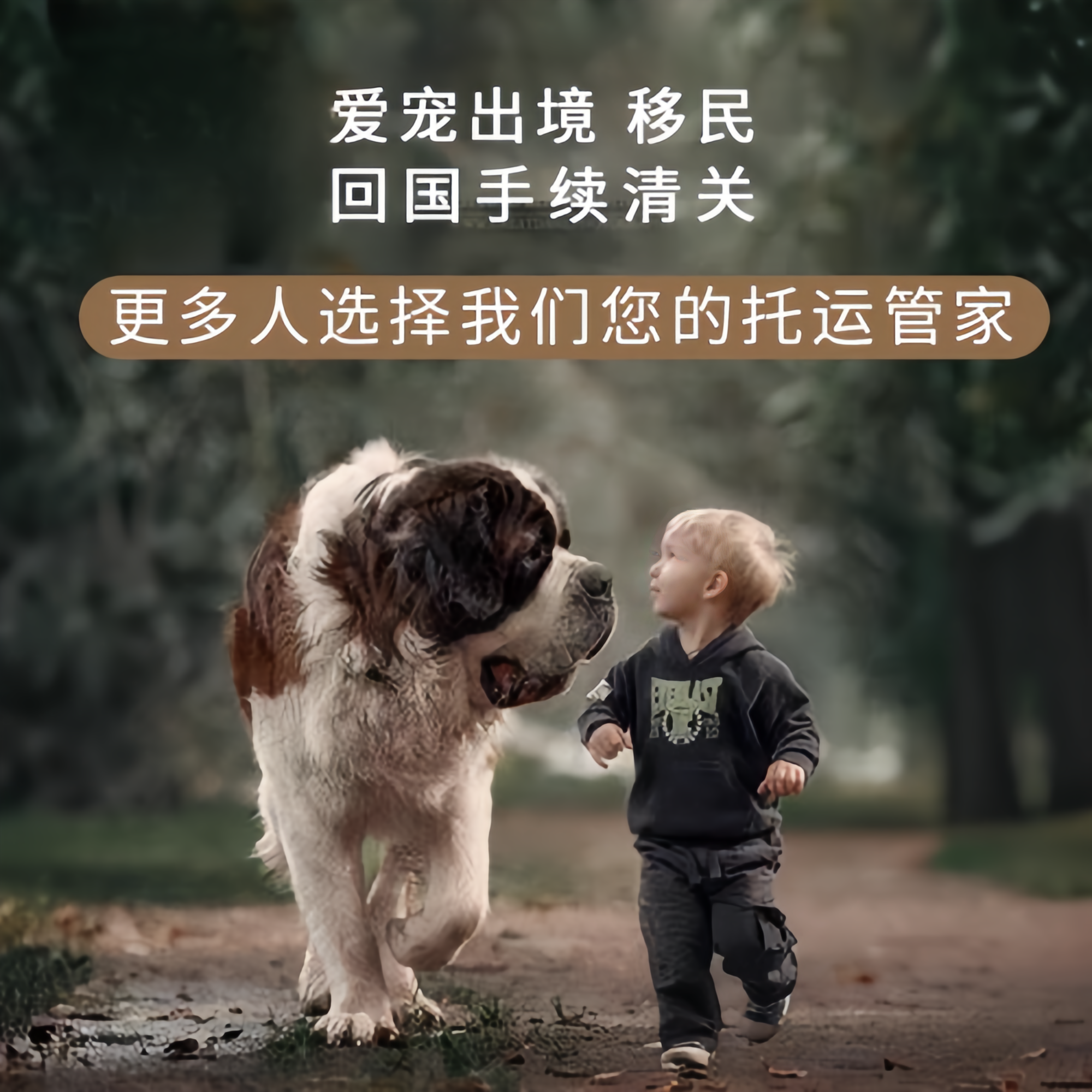 满财舟山市宠物全球达宠物托运在遵守入境目的地政策的条件